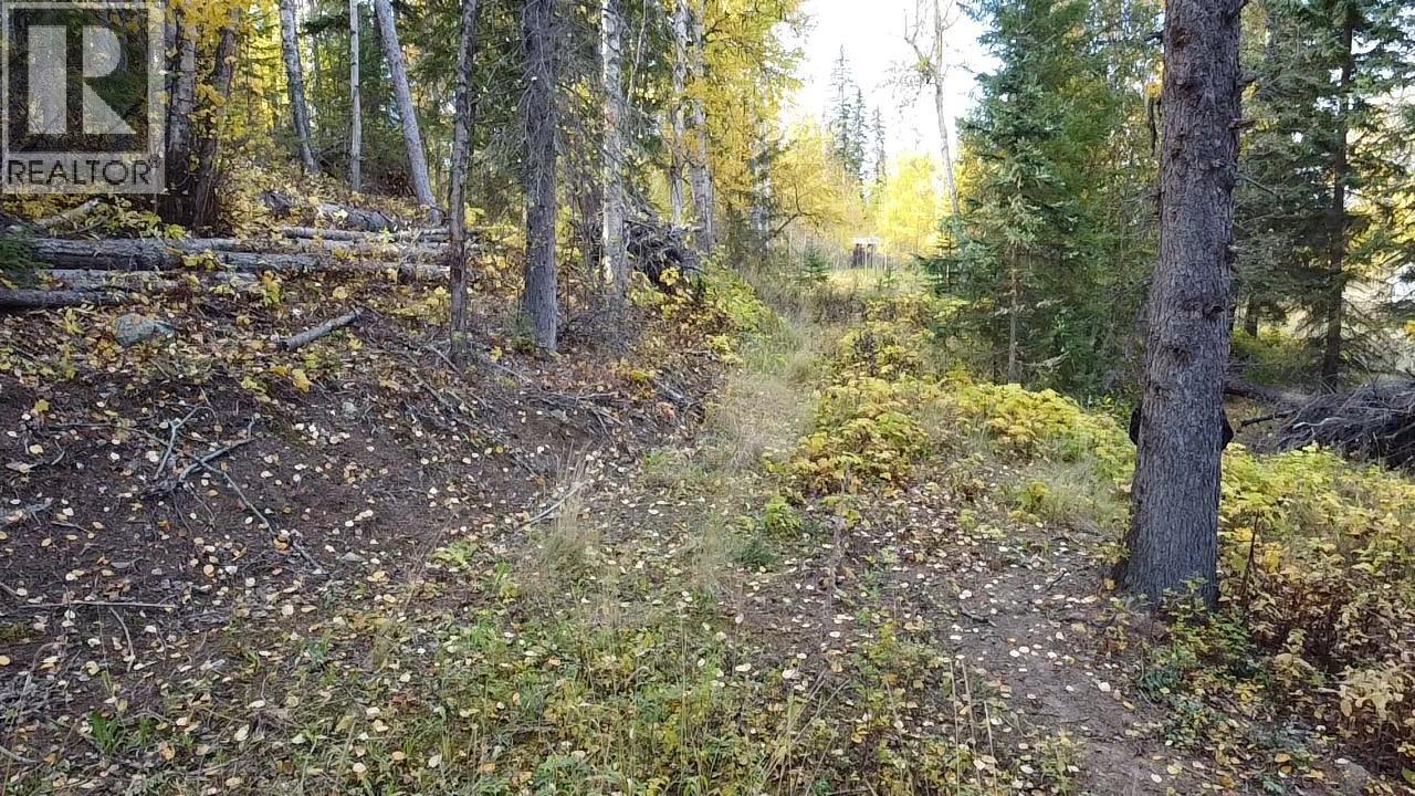 Lot 1 Cottonwood Place, Canim Lake, British Columbia  V0K 1L0 - Photo 12 - R3174151
