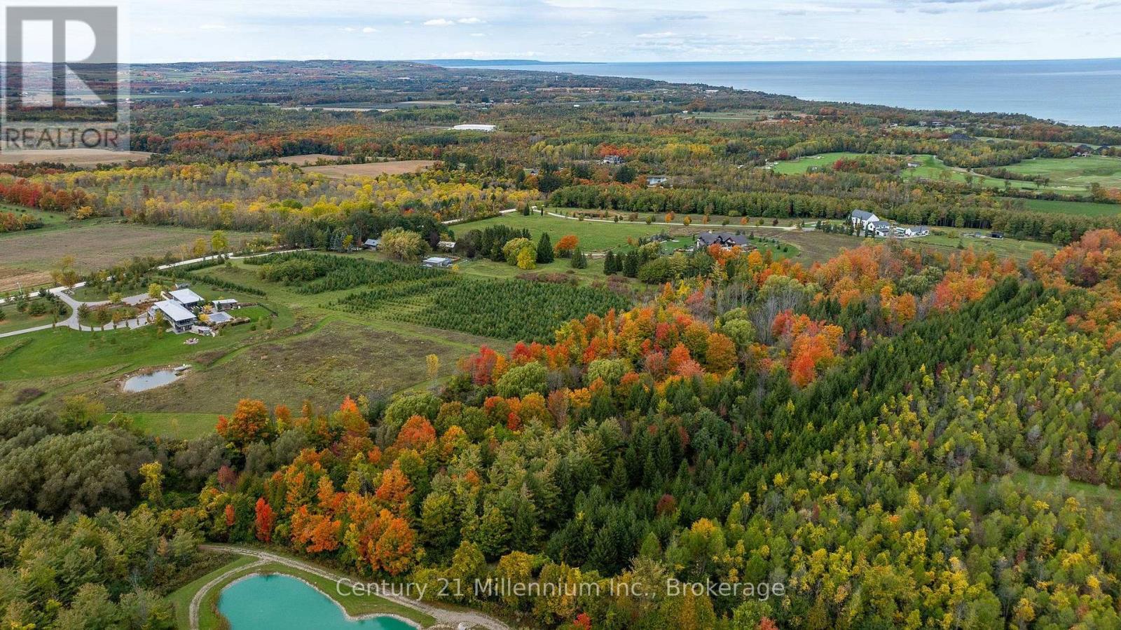 516557 7th Line, Blue Mountains, Ontario  N0H 2P0 - Photo 48 - X13882858
