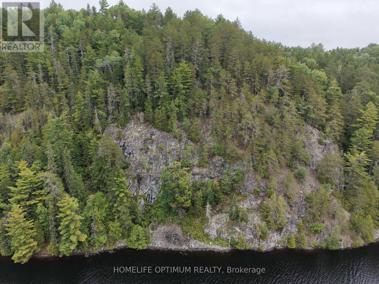 Mining Claim 199 - 214 Dale Township, Sudbury Remote Area, Ontario  P0M 1T0 - Photo 11 - X13882740