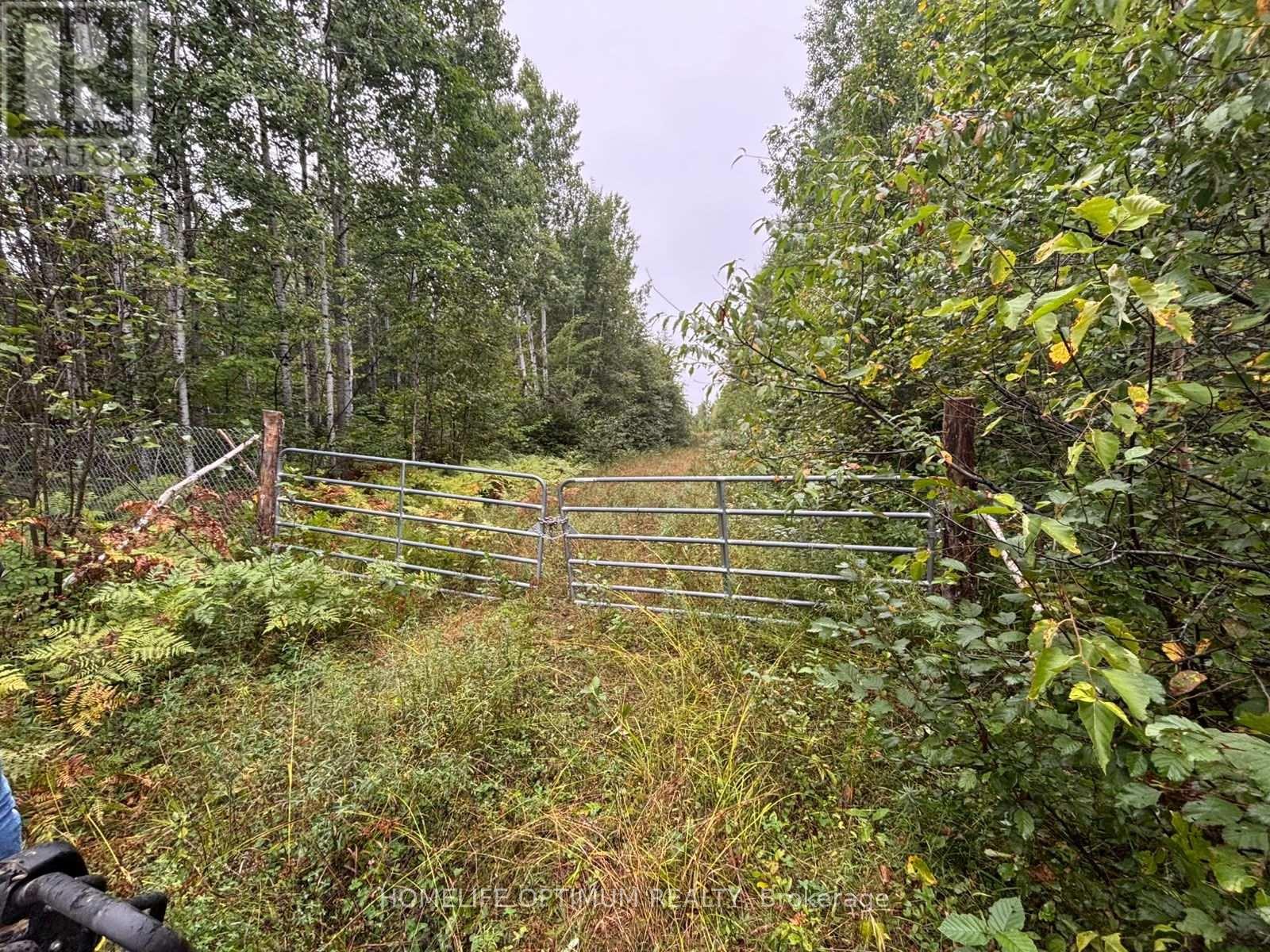 Mining Claim 199 - 214 Dale Township, Sudbury Remote Area, Ontario  P0M 1T0 - Photo 30 - X13882740