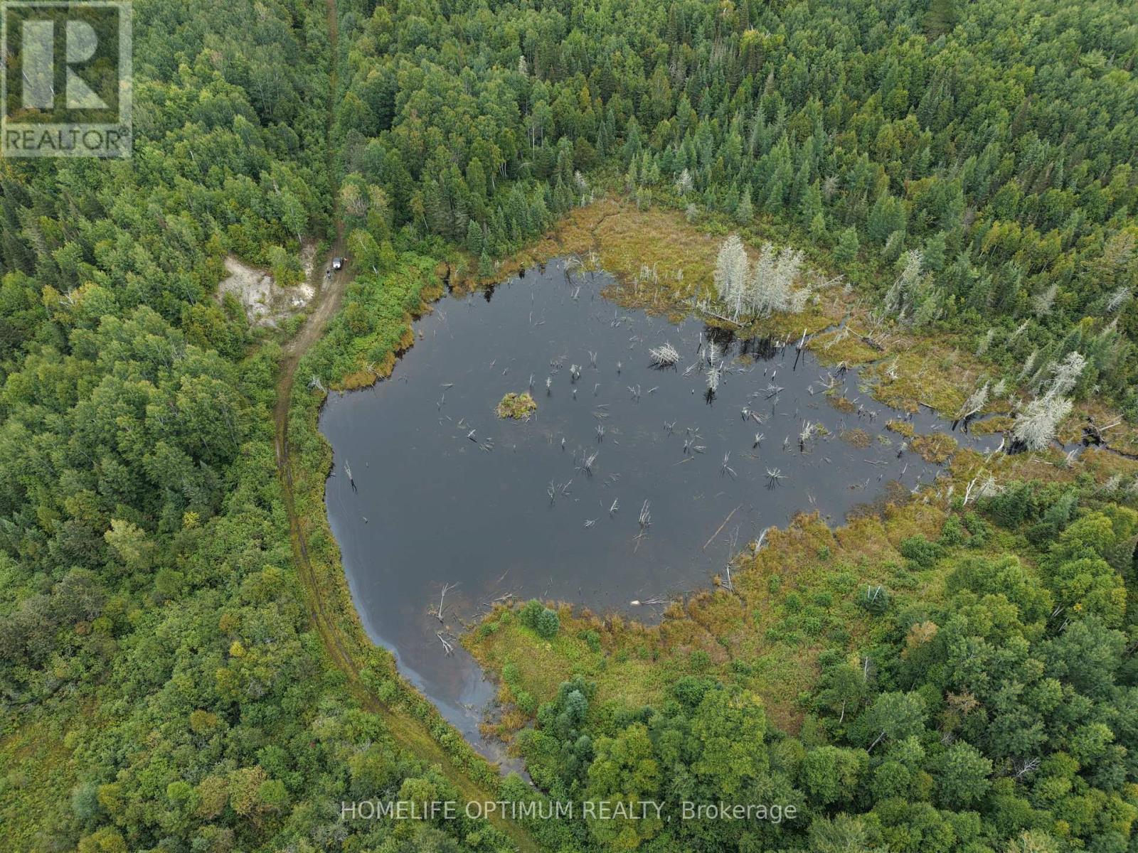 Mining Claim 199 - 214 Dale Township, Sudbury Remote Area, Ontario  P0M 1T0 - Photo 38 - X13882740