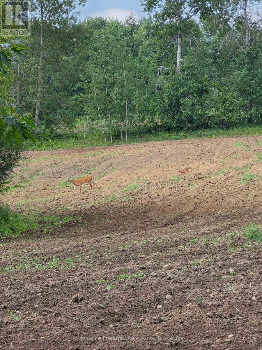 00 County Road 42 Road, Asphodel-Norwood, Ontario  K0L 1Z0 - Photo 3 - X13883150