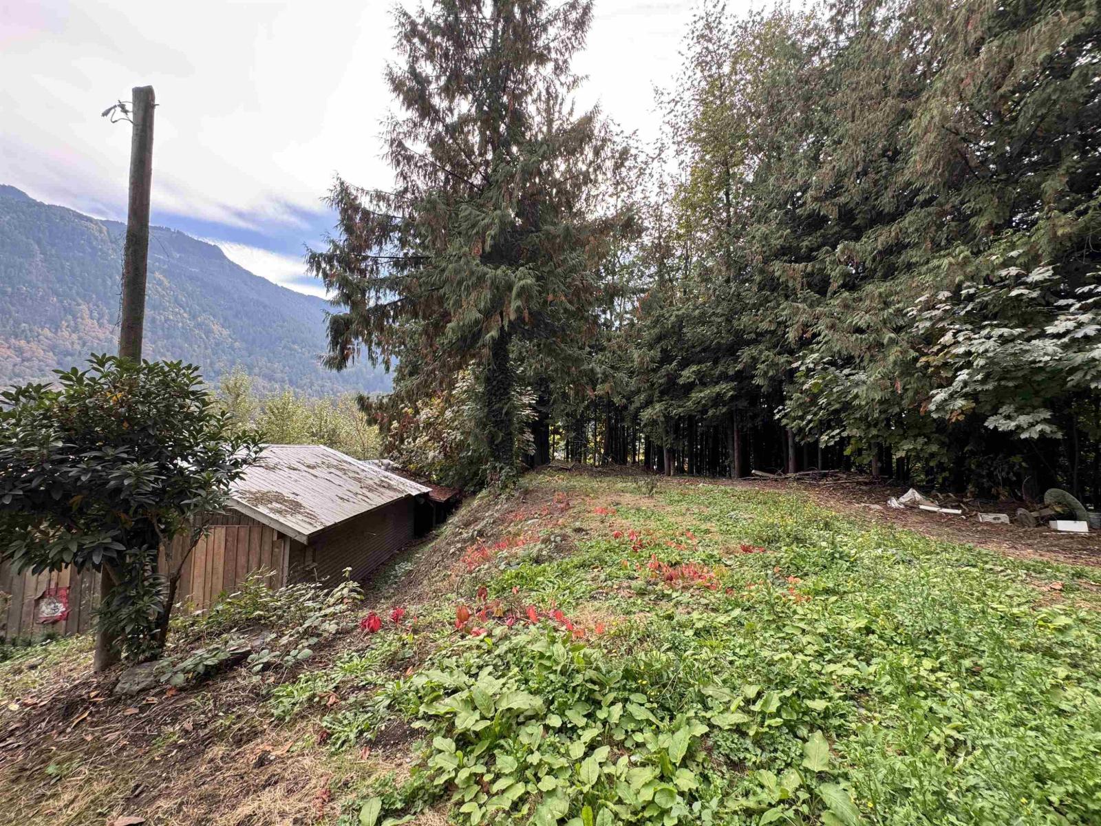 52844 YALE ROAD|Rosedale