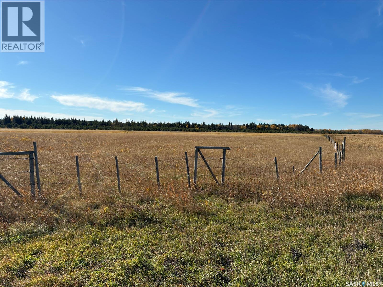Lariviere Land 86.15 Acres, Meadow Lake Rm No.588, Saskatchewan  S9X 1Z5 - Photo 2 - SK050761