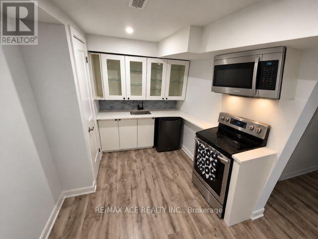 Bsmt - 867 Renaissance Drive, Oshawa, Ontario  L1J 8K6 - Photo 4 - E13881506