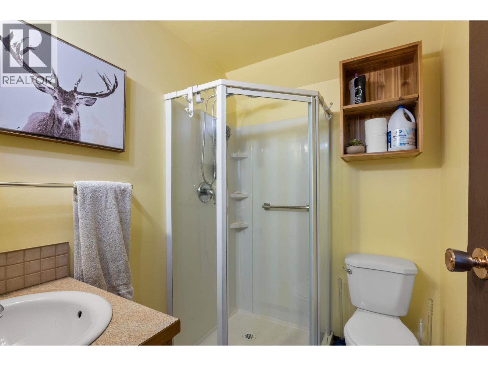 4148 Dixon Mountain Road, Barriere, British Columbia  V0E 1E0 - Photo 27 - 10403356