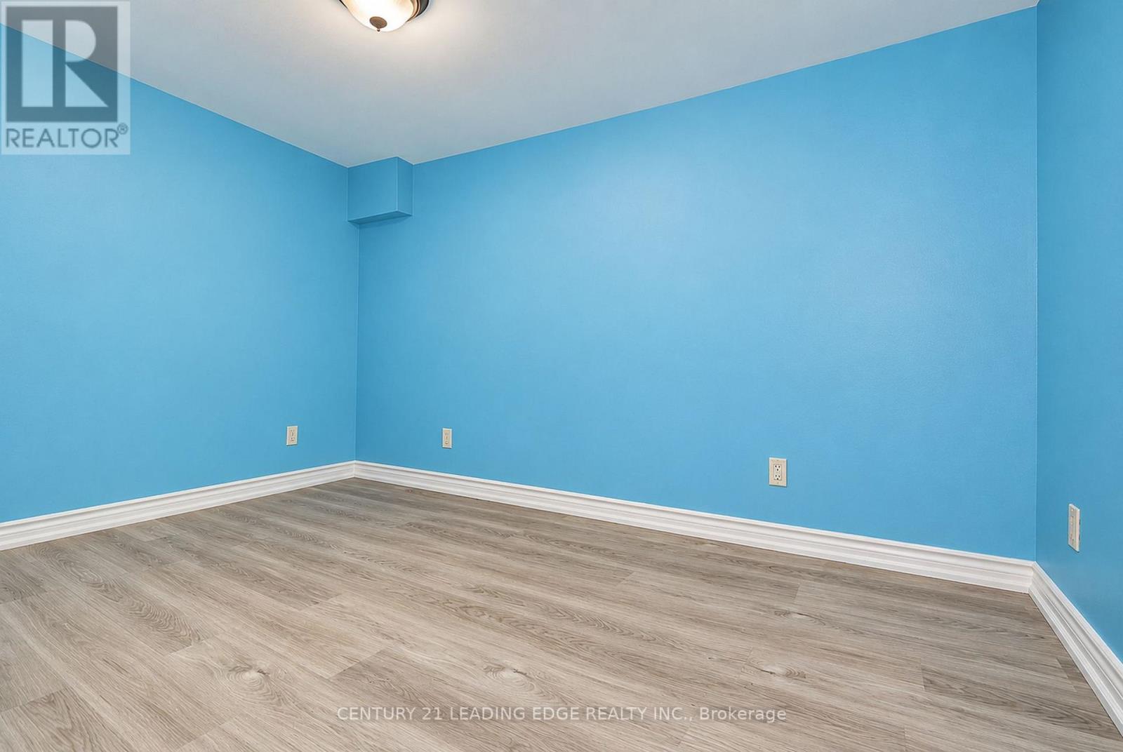 Basement - 1006 Elgin Street, Newmarket, Ontario  L3Y 3C1 - Photo 14 - N13881508
