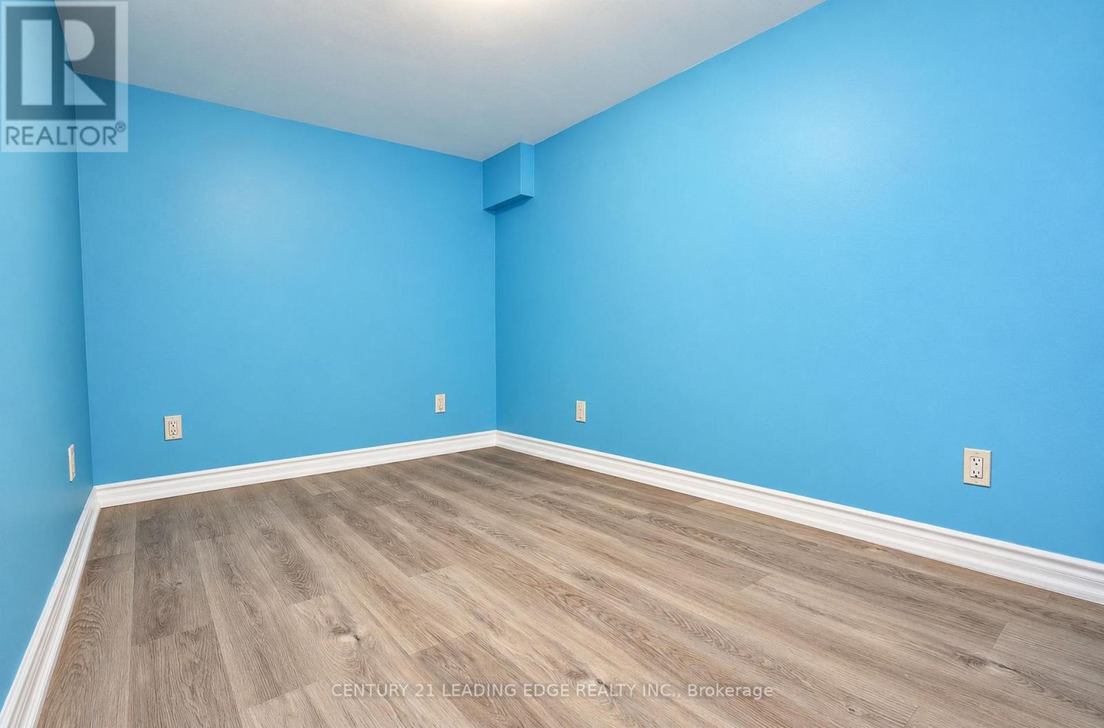 Basement - 1006 Elgin Street, Newmarket, Ontario  L3Y 3C1 - Photo 15 - N13881508