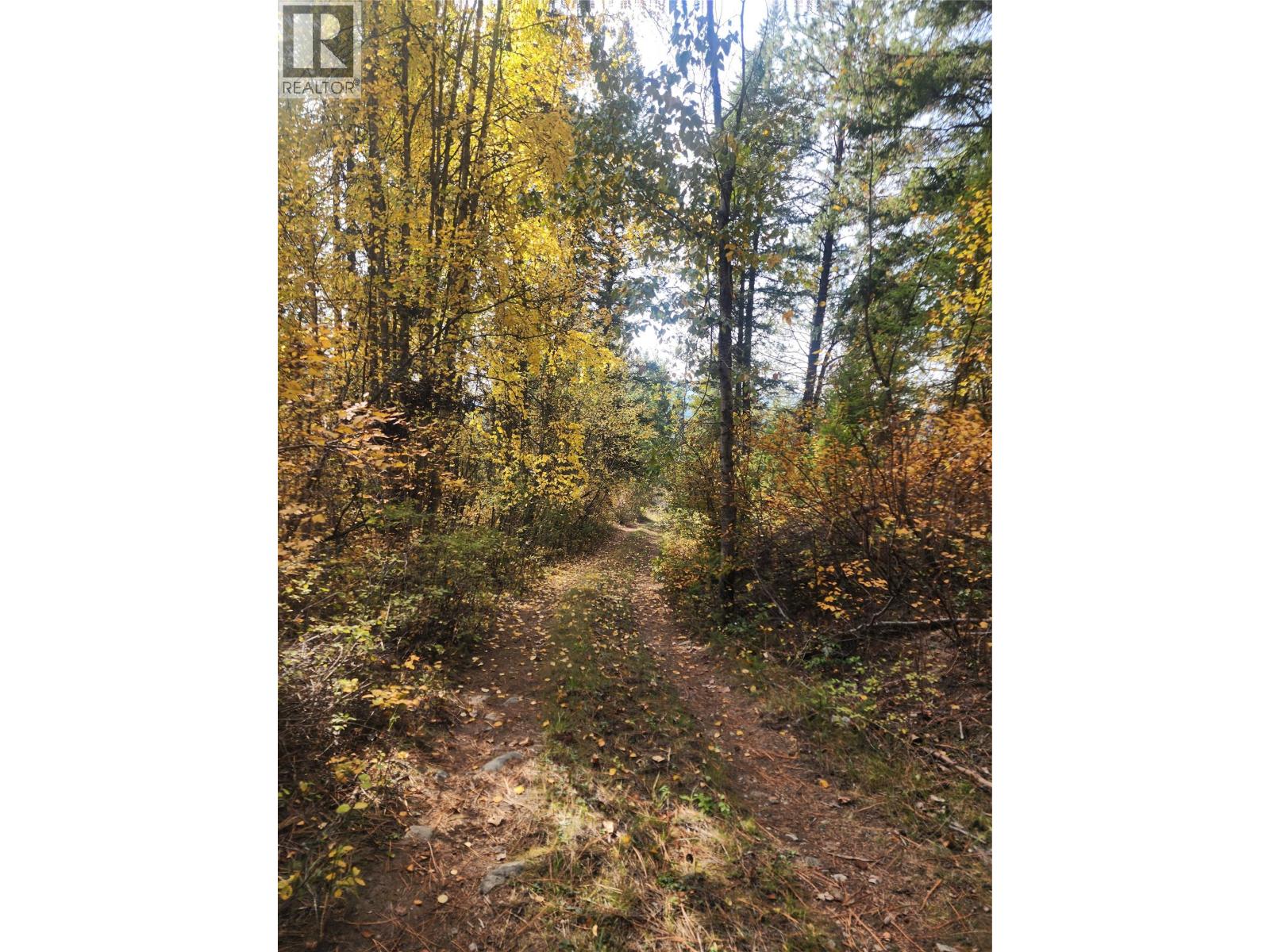 1905 &1910 Snowball Creek East Road, Grand Forks, British Columbia  V0H 1H1 - Photo 18 - 10403298