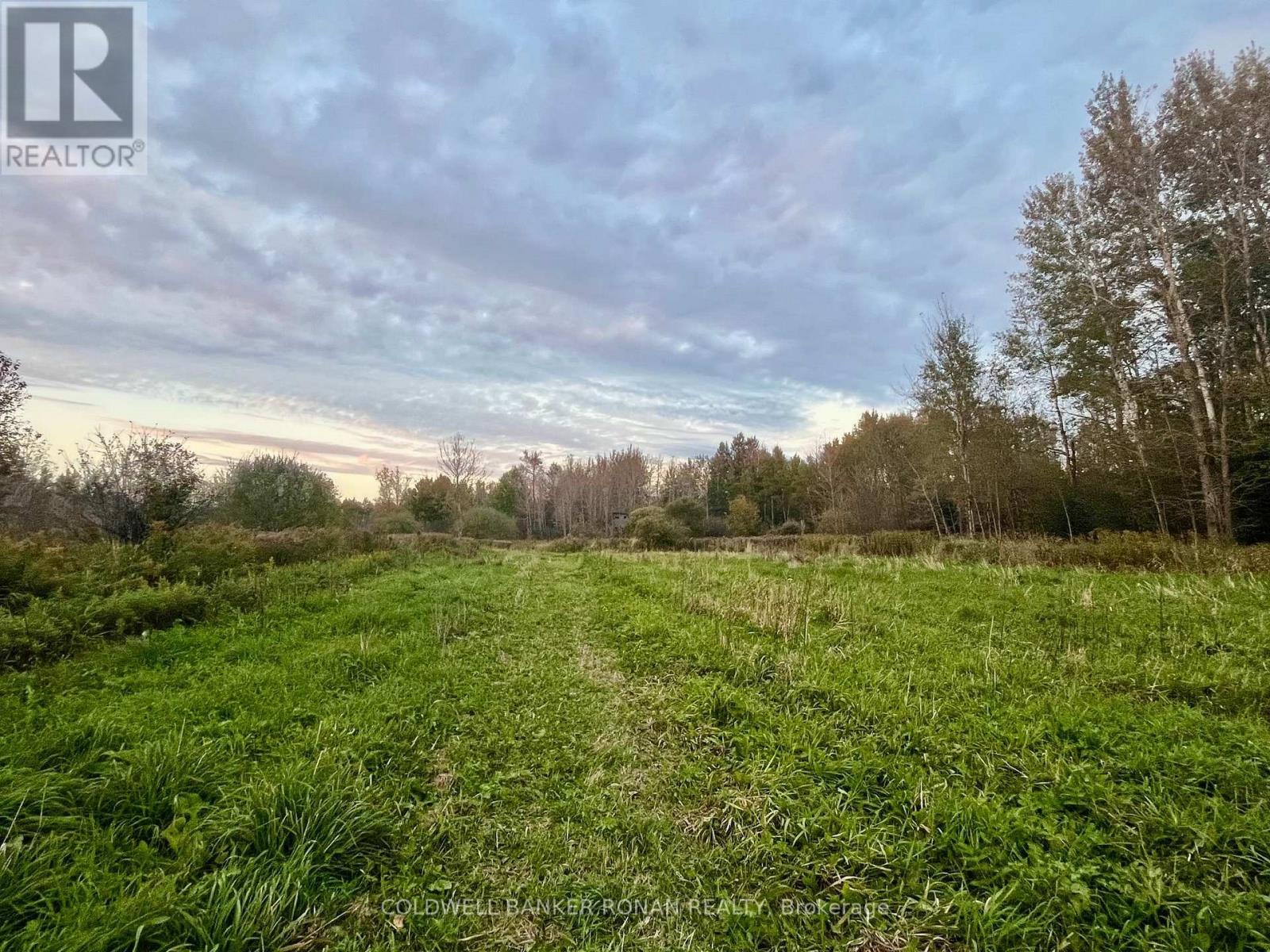 345198 15 Side Road, Amaranth, Ontario  L0N 1S0 - Photo 8 - X13883944