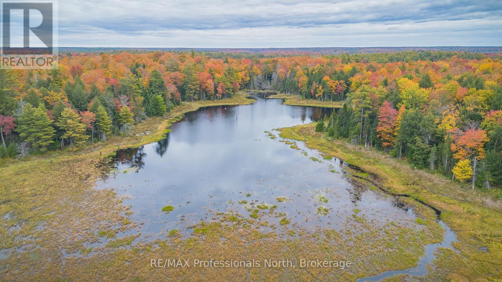 1289 Purbrook Road, Bracebridge, Ontario  P1L 1X3 - Photo 46 - X13423602