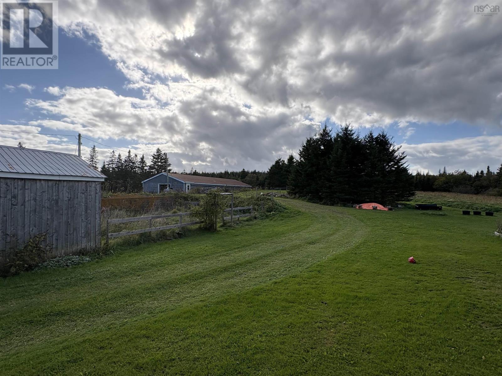 picture 28