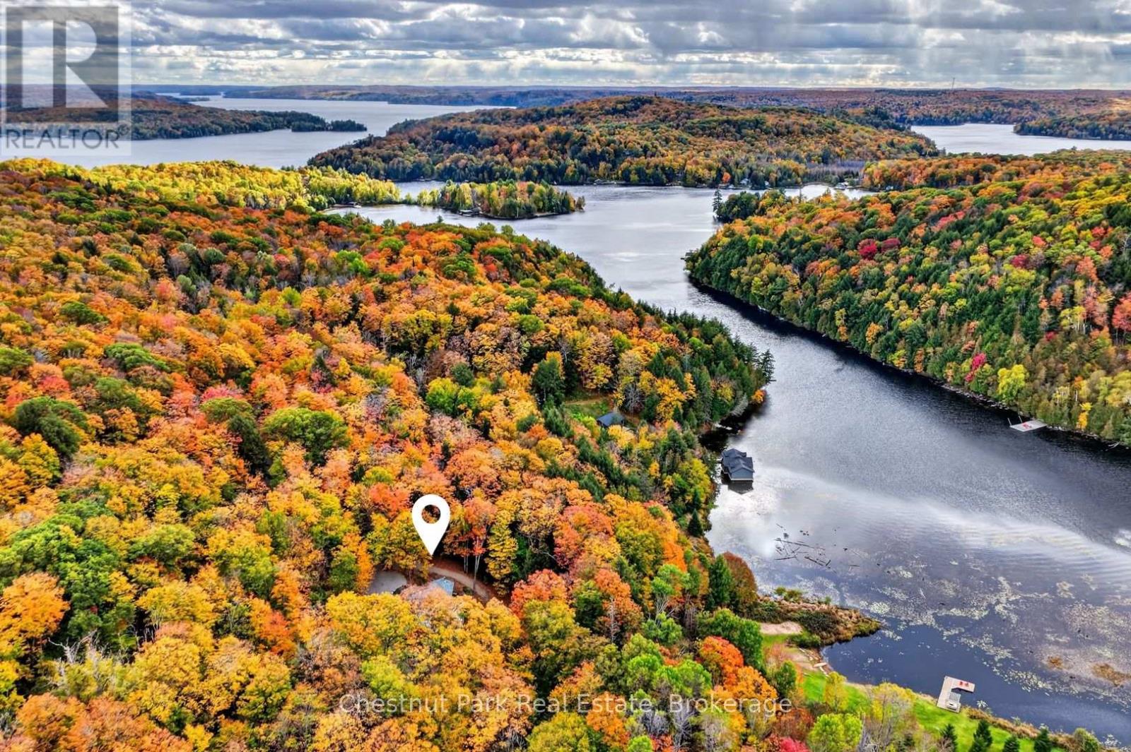 1204 Charlie Thompson Road, Lake Of Bays, Ontario  P0A 1H0 - Photo 3 - X13884394