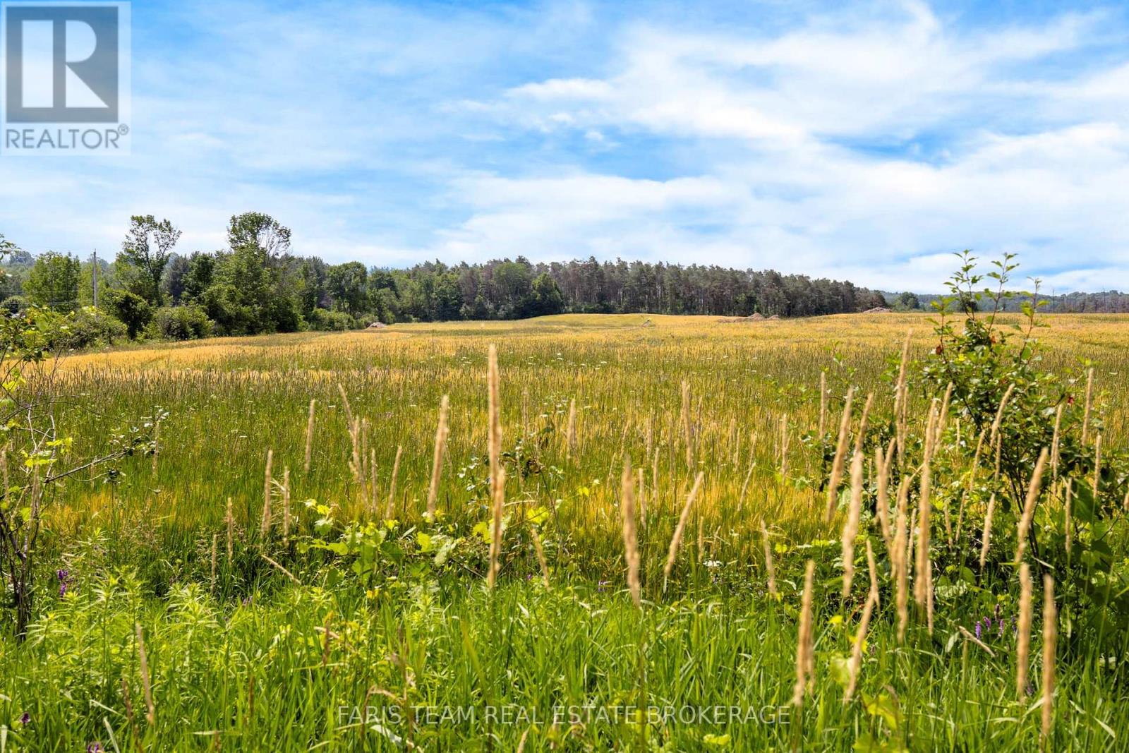 1499 Tay Point Road, Penetanguishene, Ontario  L9M 2C8 - Photo 3 - S13884384
