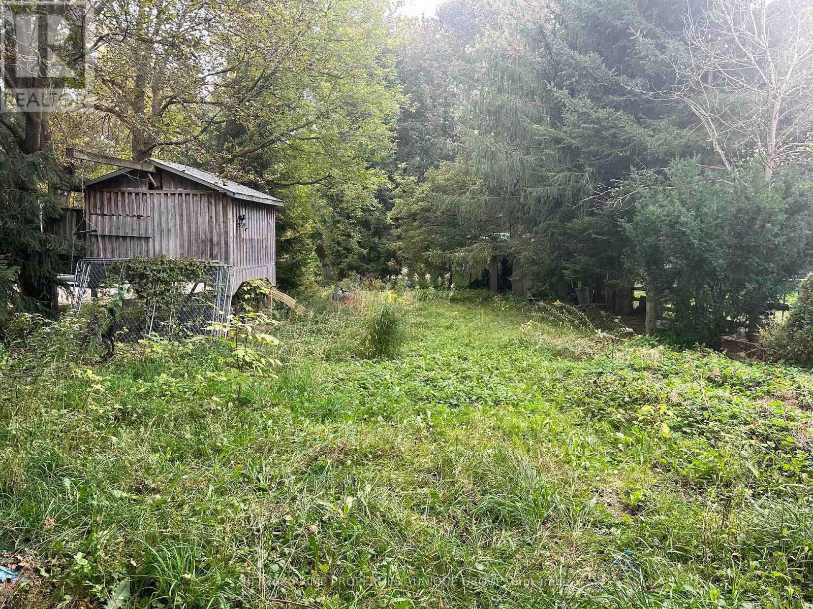 135 Elgin Street N, Wellington North, Ontario  N0G 2L0 - Photo 6 - X13884702