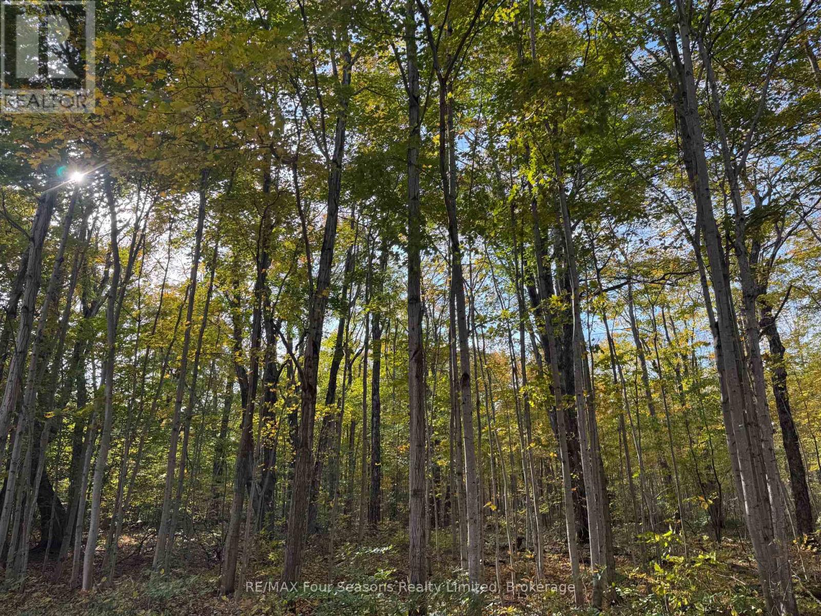North 1/2 Lot 25 St Vincent Sydenham Townline N, Meaford, Ontario  N4K 5W4 - Photo 23 - X13884682