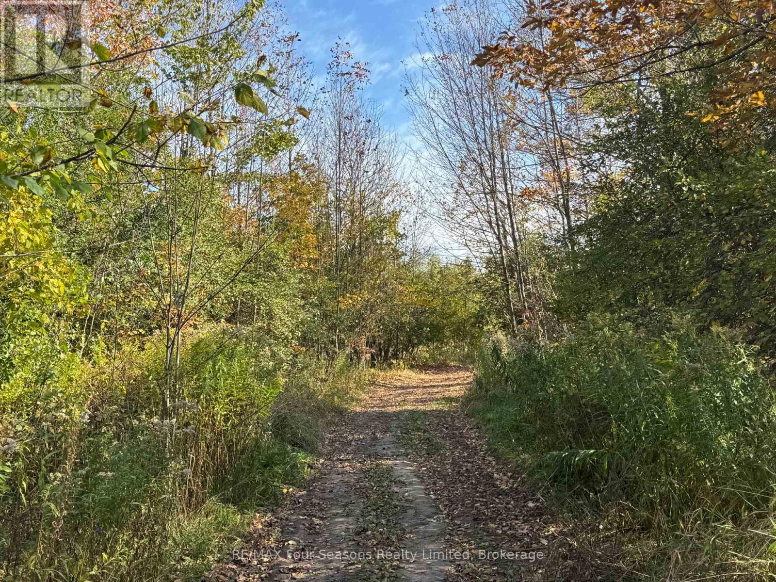 North 1/2 Lot 25 St Vincent Sydenham Townline N, Meaford, Ontario  N4K 5W4 - Photo 25 - X13884682