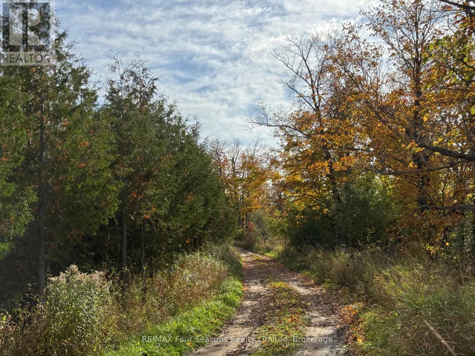 North 1/2 Lot 25 St Vincent Sydenham Townline N, Meaford, Ontario  N4K 5W4 - Photo 3 - X13884682