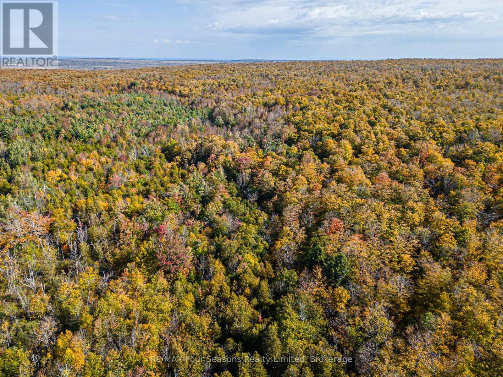 North 1/2 Lot 25 St Vincent Sydenham Townline N, Meaford, Ontario  N4K 5W4 - Photo 8 - X13884682