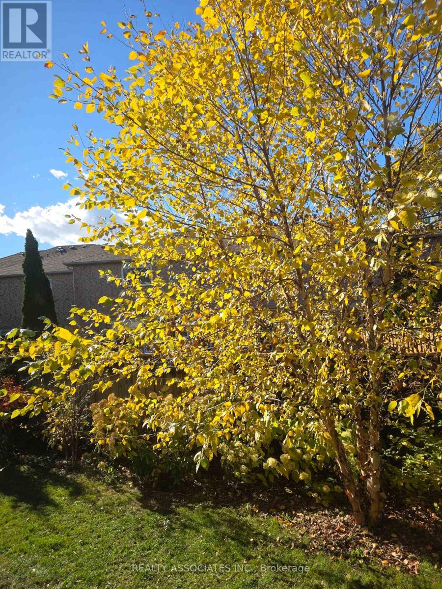 128 Coalbrook Court, Vaughan, Ontario  L4L 9B6 - Photo 22 - N13884650