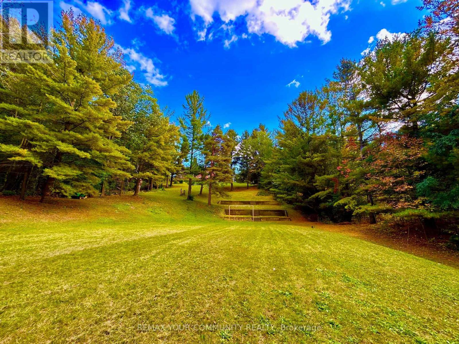 243 Ridge Road, Aurora, Ontario  L4G 0M3 - Photo 6 - N13827006
