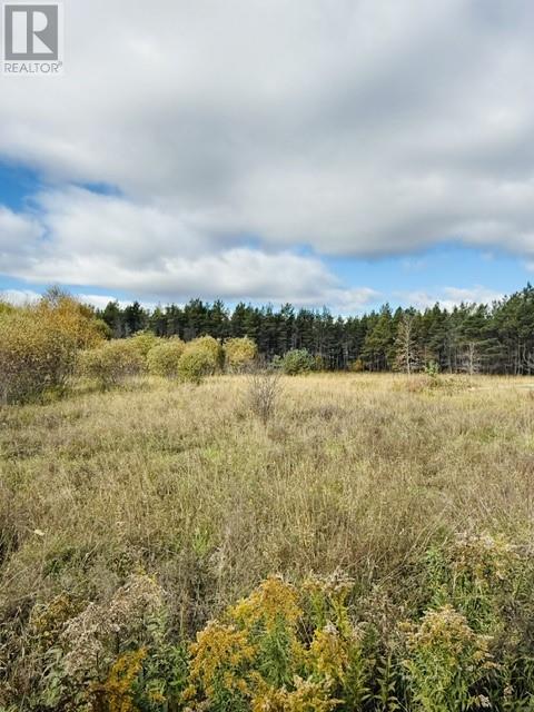 Pt 1, Plan 53r-20016 River Rd, Massey, Ontario  P0P 1P0 - Photo 34 - 2129075