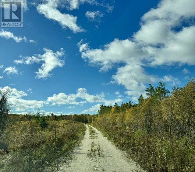 Pt 1, Plan 53r-20016 River Rd, Massey, Ontario  P0P 1P0 - Photo 6 - 2129075