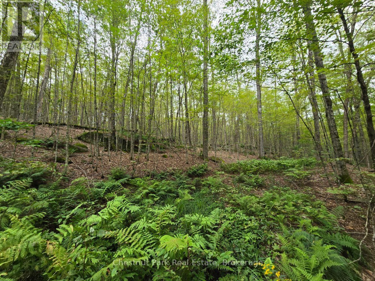 00 OLD TRACK ROAD, Perry, Ontario