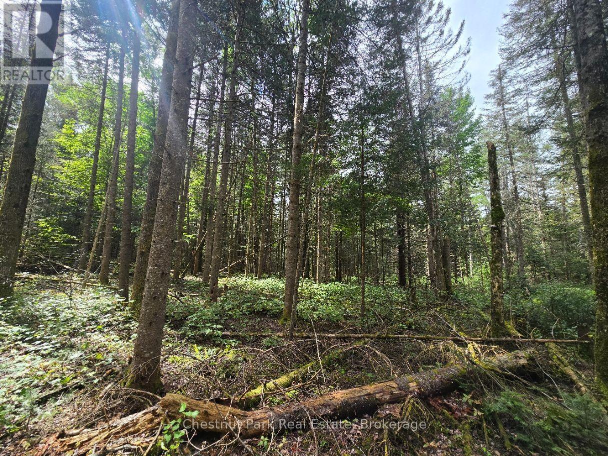 00 Old Track Road, Perry, Ontario  P0A 1J0 - Photo 11 - X13884974