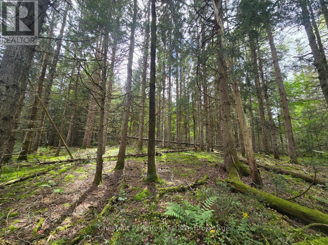 00 Old Track Road, Perry, Ontario  P0A 1J0 - Photo 13 - X13884974