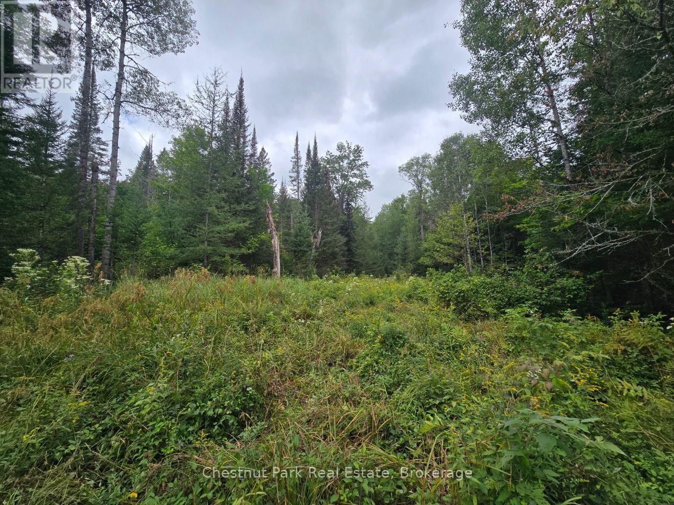 00 Old Track Road, Perry, Ontario  P0A 1J0 - Photo 15 - X13884974