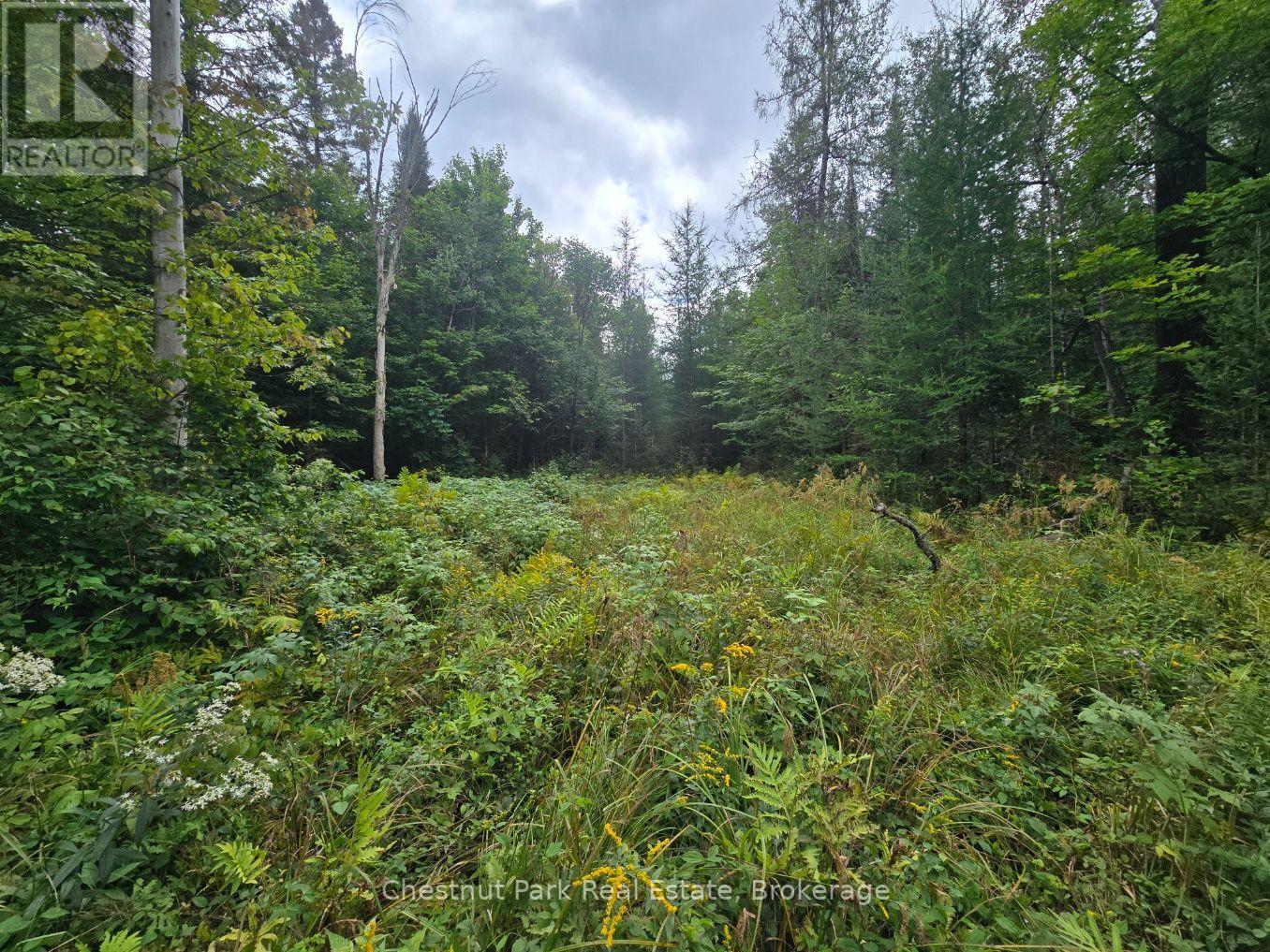 00 Old Track Road, Perry, Ontario  P0A 1J0 - Photo 16 - X13884974