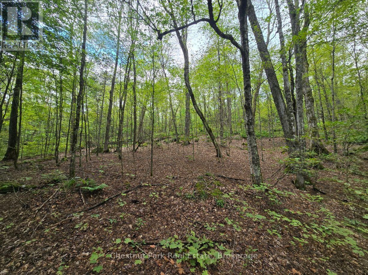 00 Old Track Road, Perry, Ontario  P0A 1J0 - Photo 18 - X13884974