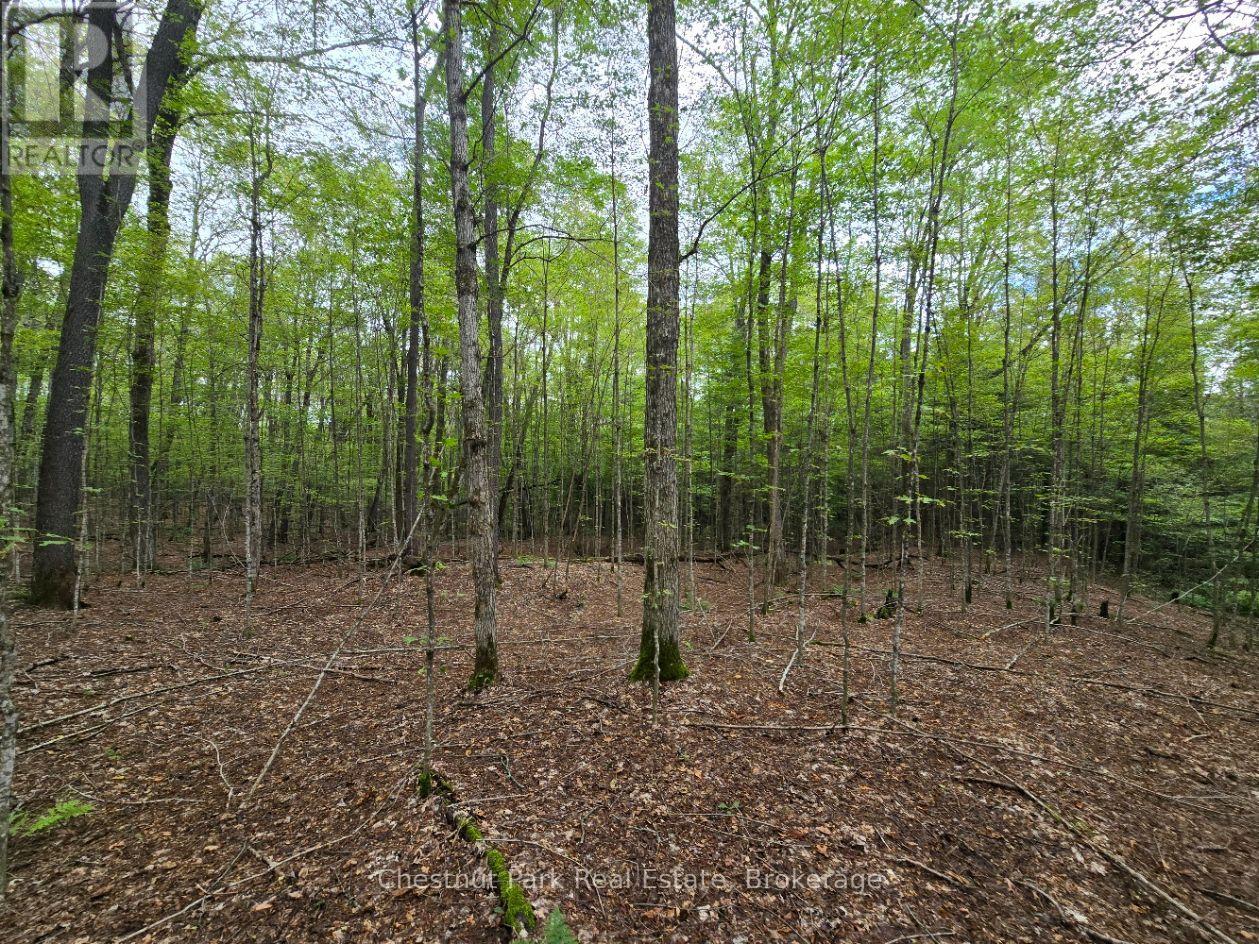 00 Old Track Road, Perry, Ontario  P0A 1J0 - Photo 20 - X13884974