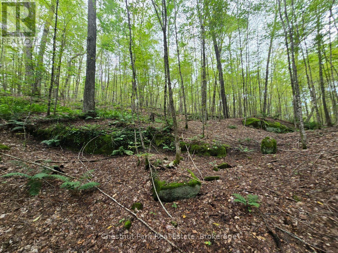 00 Old Track Road, Perry, Ontario  P0A 1J0 - Photo 21 - X13884974