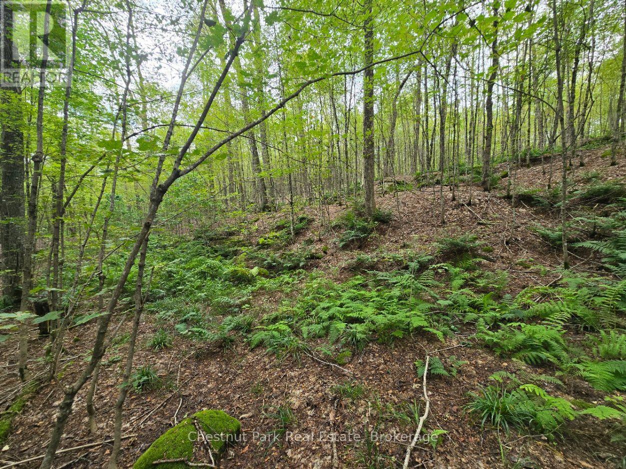 00 Old Track Road, Perry, Ontario  P0A 1J0 - Photo 22 - X13884974