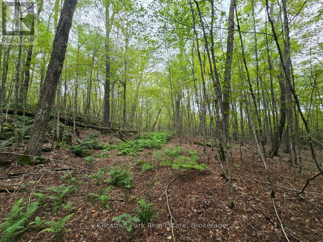 00 Old Track Road, Perry, Ontario  P0A 1J0 - Photo 23 - X13884974