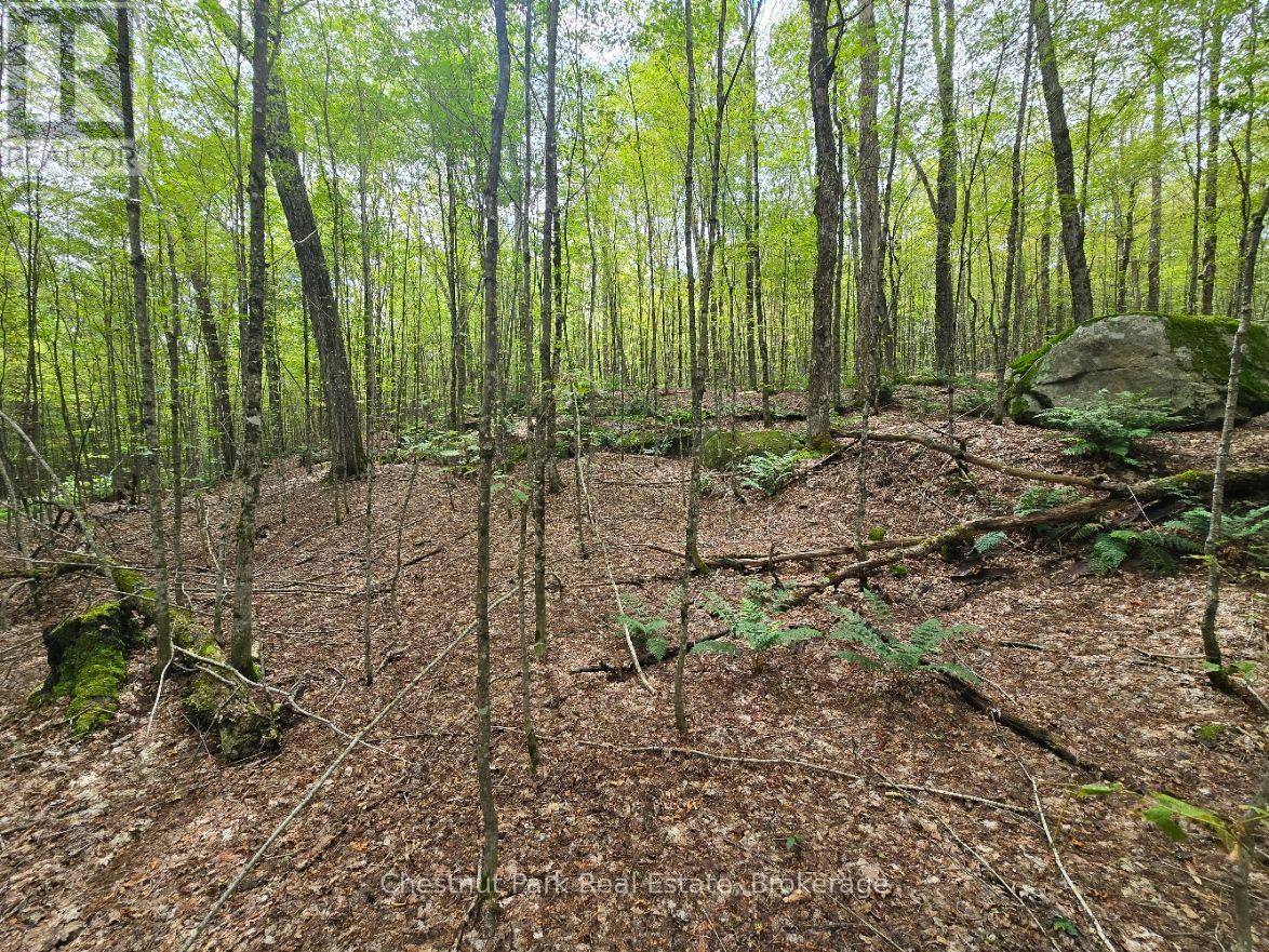 00 Old Track Road, Perry, Ontario  P0A 1J0 - Photo 24 - X13884974
