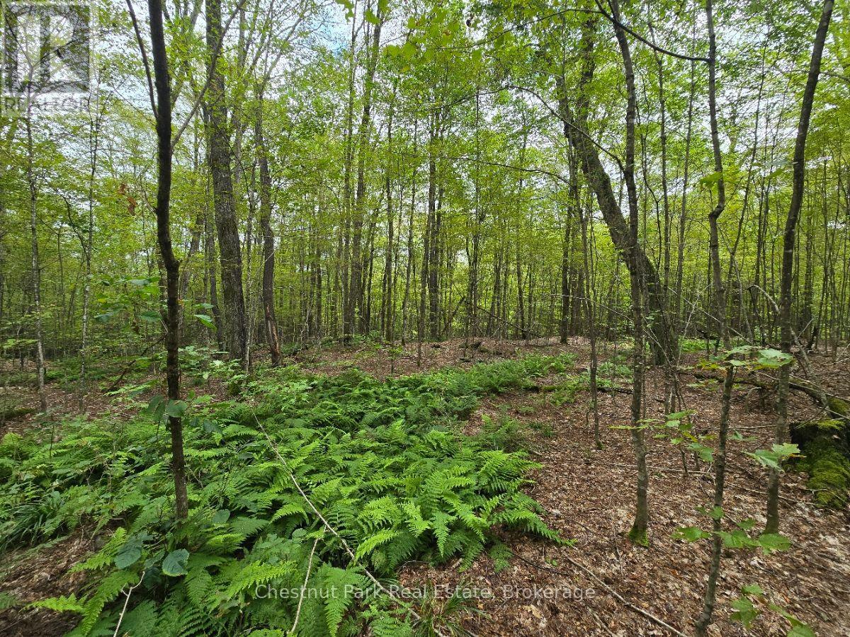00 Old Track Road, Perry, Ontario  P0A 1J0 - Photo 25 - X13884974
