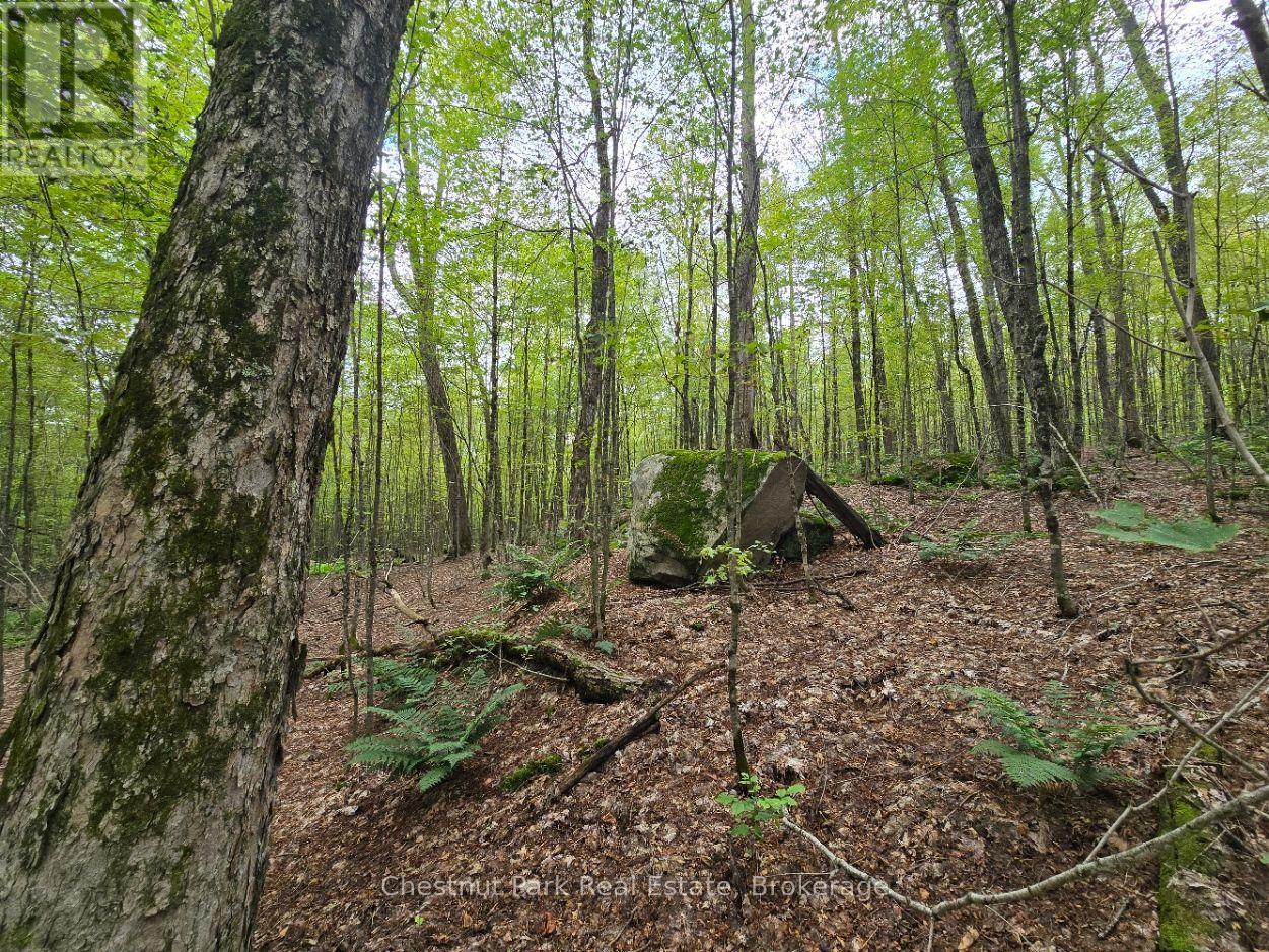 00 Old Track Road, Perry, Ontario  P0A 1J0 - Photo 26 - X13884974