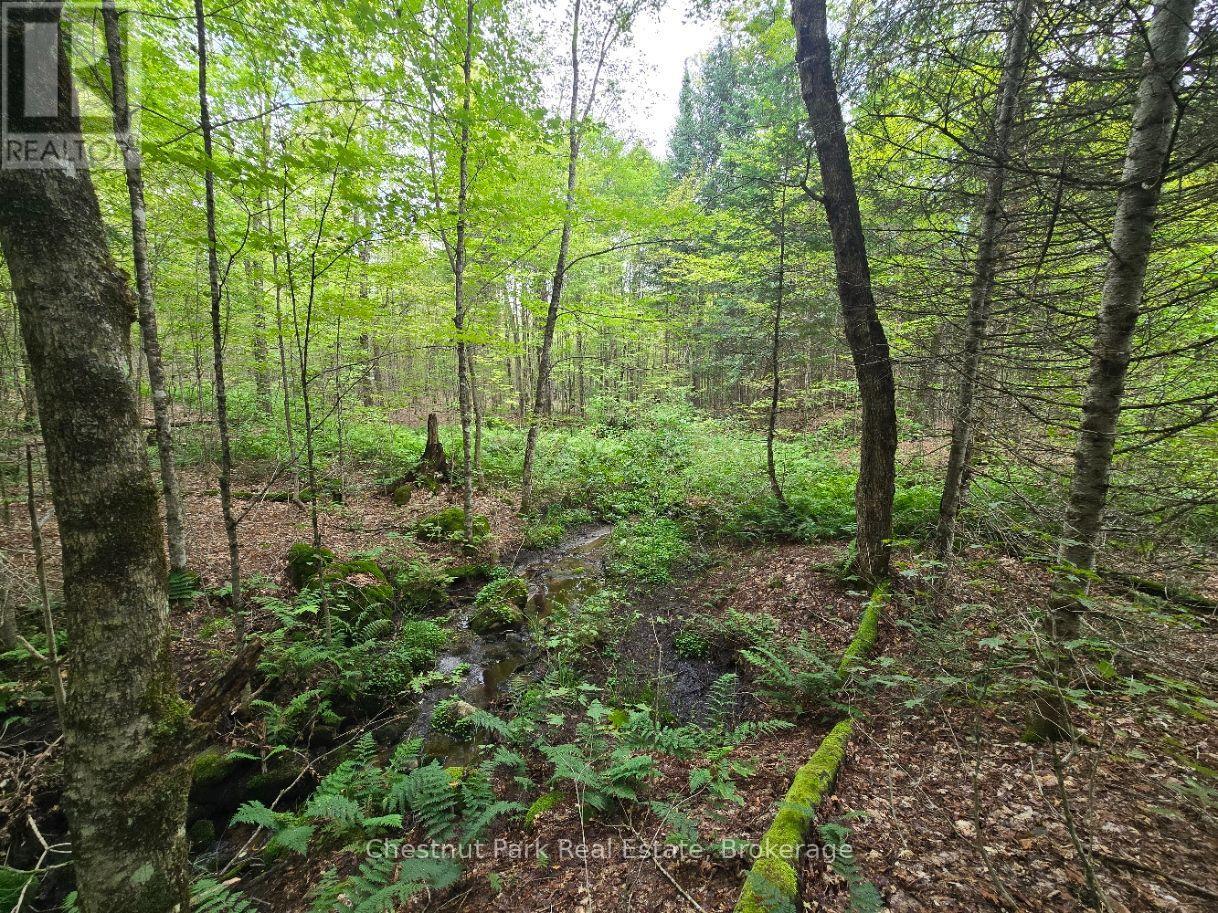 00 Old Track Road, Perry, Ontario  P0A 1J0 - Photo 27 - X13884974