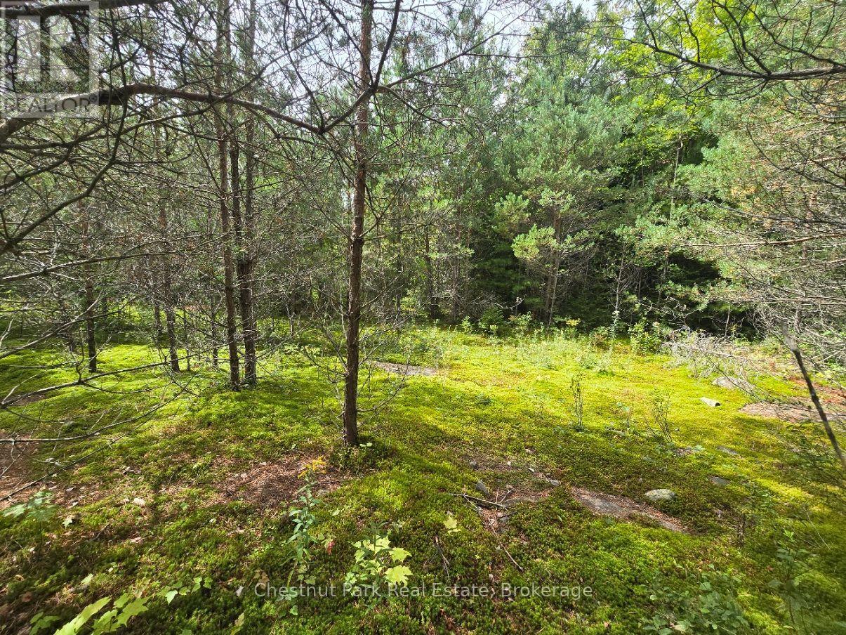 00 Old Track Road, Perry, Ontario  P0A 1J0 - Photo 29 - X13884974
