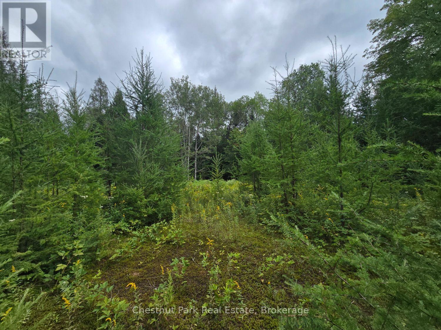 00 Old Track Road, Perry, Ontario  P0A 1J0 - Photo 6 - X13884974
