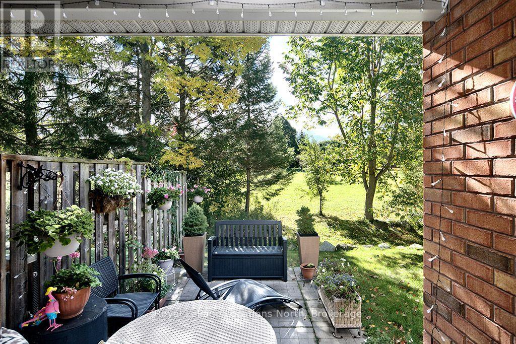 9 Russett Drive, Meaford, Ontario  N4L 0A5 - Photo 22 - X13885044