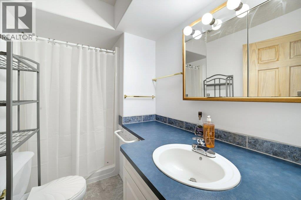 2457 Centennial Drive, Blind Bay, British Columbia  V0E 1H2 - Photo 31 - 10402779