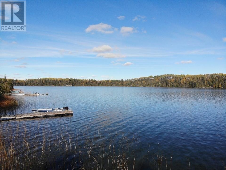 10 Tony Lake, Chapleau, Ontario  P0M 1K0 - Photo 14 - 2130847