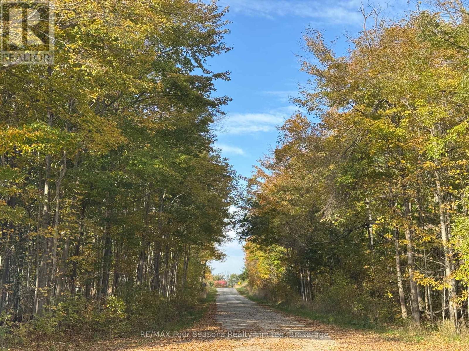 North 1/2 Lot 25 St Vincent Sydenham Townline N, Meaford, Ontario  N4K 5W4 - Photo 17 - X13884682