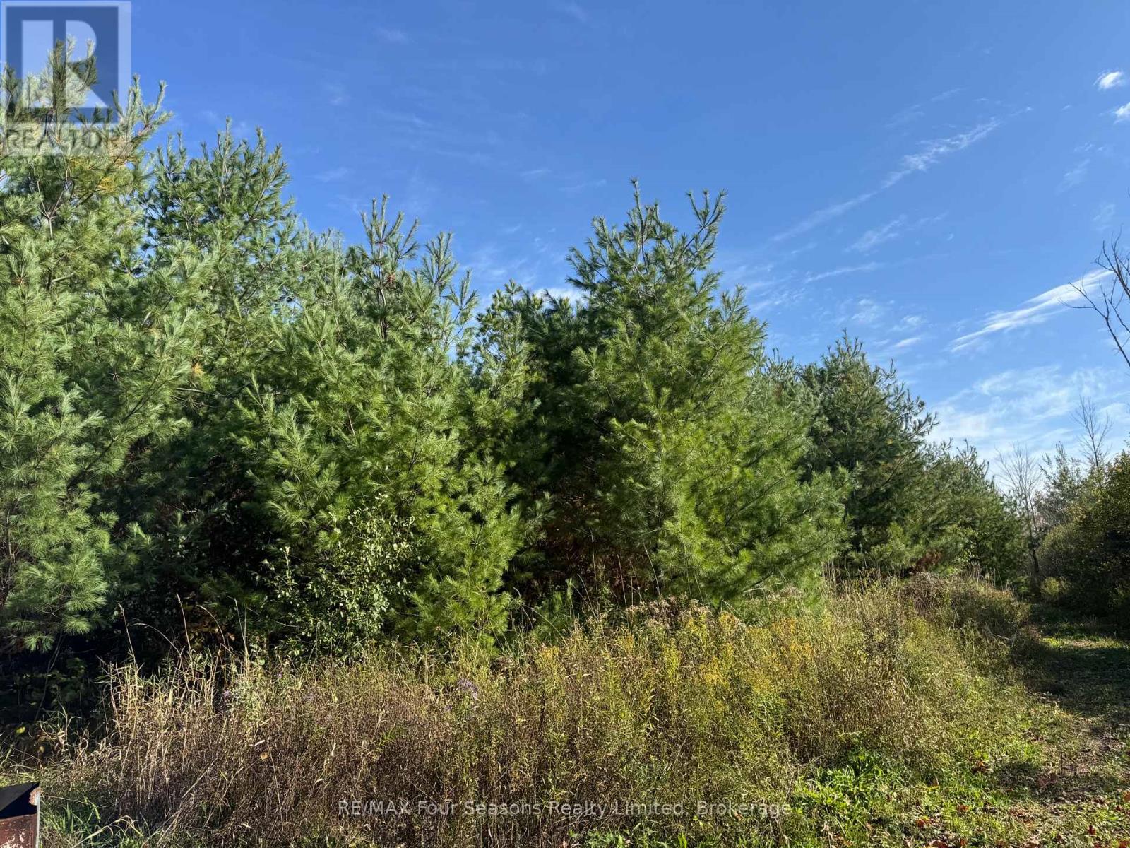 North 1/2 Lot 25 St Vincent Sydenham Townline N, Meaford, Ontario  N4K 5W4 - Photo 22 - X13884682