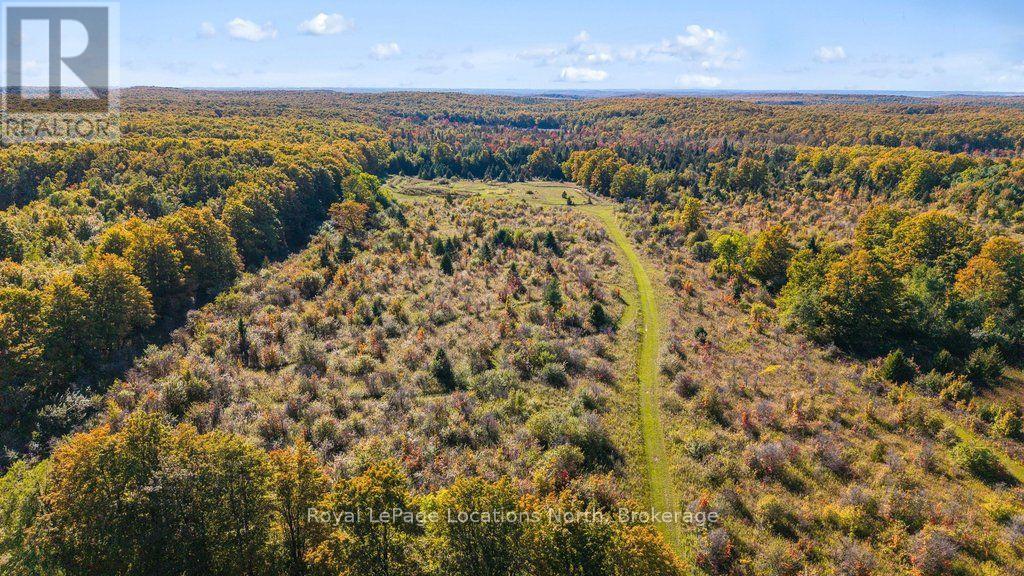 555130 Sixth Line, Blue Mountains, Ontario  N0H 2E0 - Photo 40 - X13885186