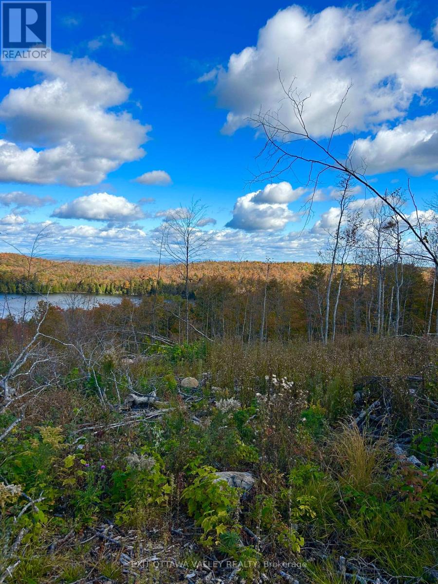 00 Rosien Road, Bonnechere Valley, Ontario  K0J 1T0 - Photo 10 - X13885222